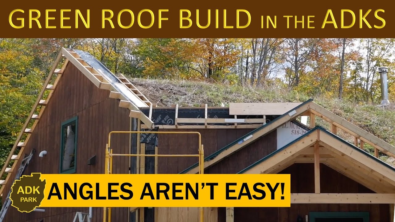 Image showcasing 25 Green Roofs That Bring Spectacular Homes to New Levels