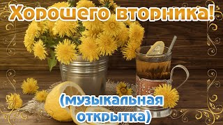 С добрым утречком во вторник! Музыкальная открытка, С добрым утром.