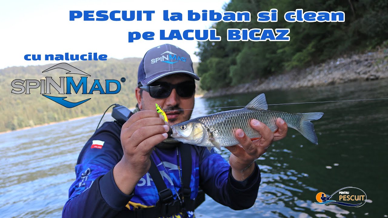 Pescuit la clean si biban pe lacul Bicaz cu nalucile Spinmad (cicade/spinnertails) - August' 2020
