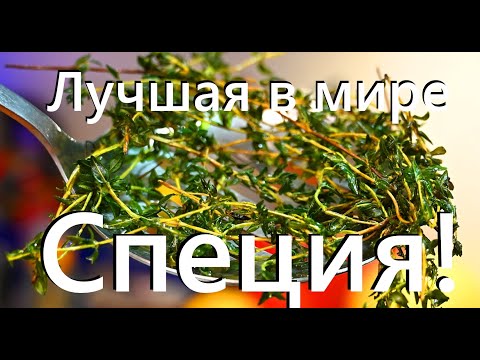 Видео: 3 способа сушки листьев петрушки