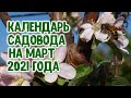 Календарь садовода на март 2021 года. Агрогороскоп для садоводов на март 2021