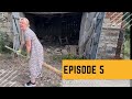 Episode 5  treasure island  we bought a house in bulgaria