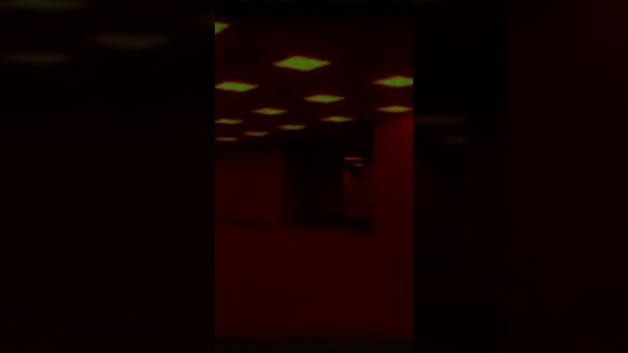 The Backrooms-level 0.1(The danger Zone)