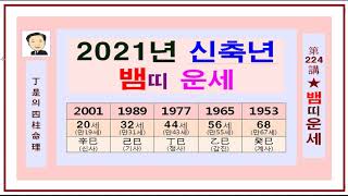 2021년 뱀띠운세. 신축년 뱀띠 운세-정시의 사주명리224강-2021년 신축년 뱀띠운세 입니다.