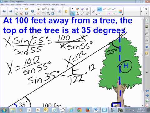 एक पेड़ की ऊंचाई की गणना करने के लिए साइन का उपयोग करना