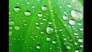 (R) Cute Chillah-ke jola le mizo