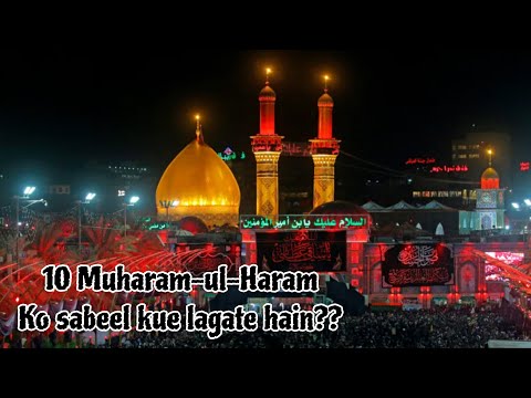 10 muharam-ul-haram Ki shabeel lagai ||Ahmad Hammad brother vlogs|| 