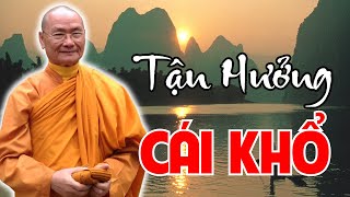 Thầy Khổ Và Chịu Được Khổ Không Quan Trọng Bằng Thấy Ra Nguyên Nhân Khổ | HT Viên Minh Thuyết Pháp