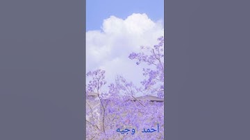 #قران_كريم #اكسبلور #تلاوات #تلاوة_خاشعة #تلاوه #دويتو #quran #لايك  #تيك_توك