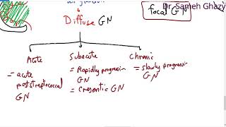 systemic pathology 48 : Urinary system 2  ( nephritic glomerulonephritis ) DR. SAMEH GHAZY
