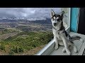 Huskies Visit a Volcano | Travel Vlog