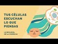 Tus células escuchan lo que piensas (y CÓMO usarlo a tu favor)