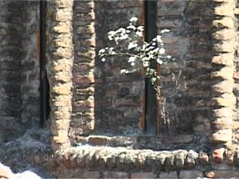 სალომე აფციაური - როდის ჩამოდიხარ? გელოდები!