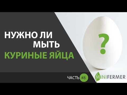 Видео: Нужно ли чистить свежие яйца с фермы?