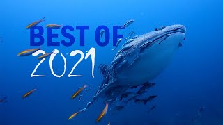 2021 Underwater Showreel | Thailand&#39;s Best Dives