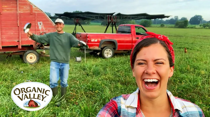 Rotational Grazing with Cows & Chickens | Julia Ga...