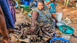 Rural African village market day in Kpalime Togo west Africa. Market life in rural Togo.🇹🇬