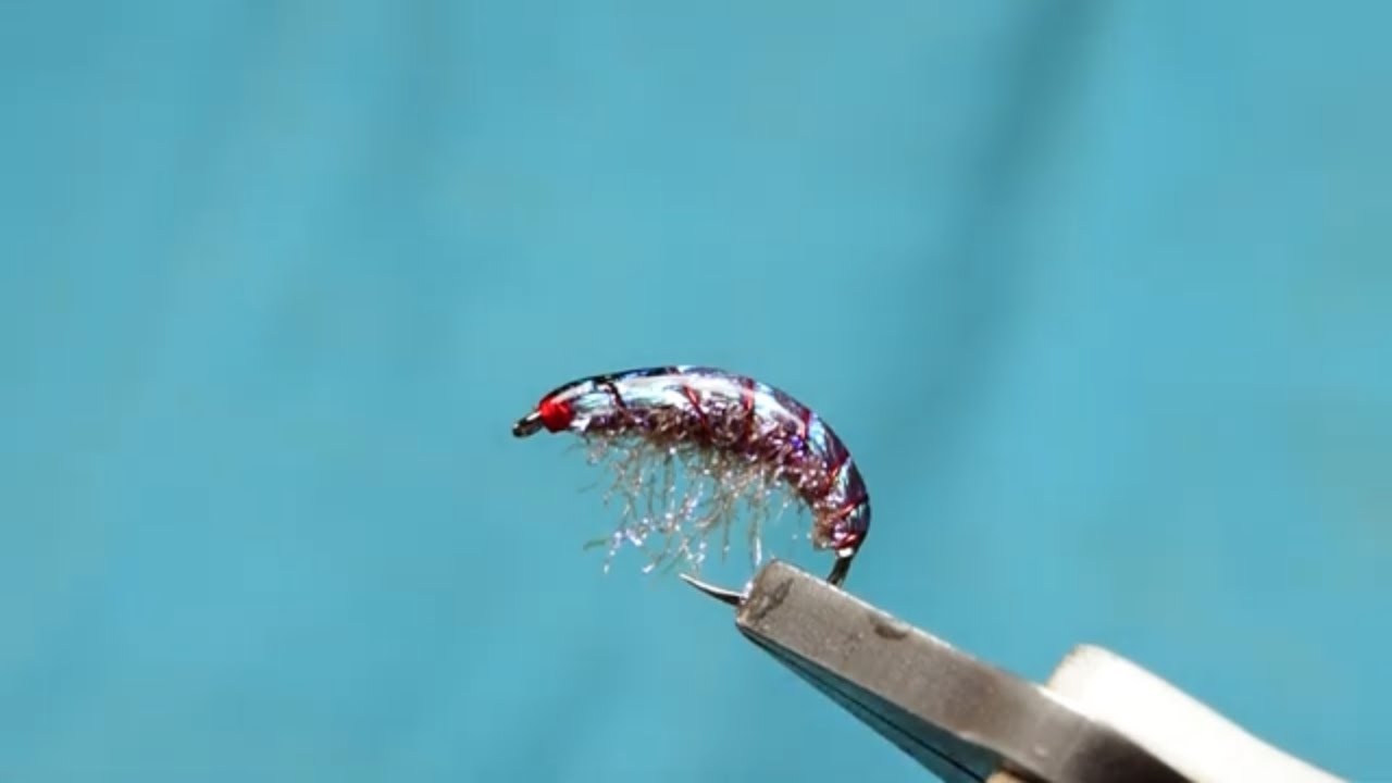 Fly Tying The Duracell Shrimp AP Fly Tying YouTube