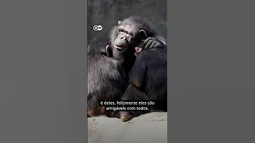 Shorts Is There Homosexuality In The Animal Kingdom 