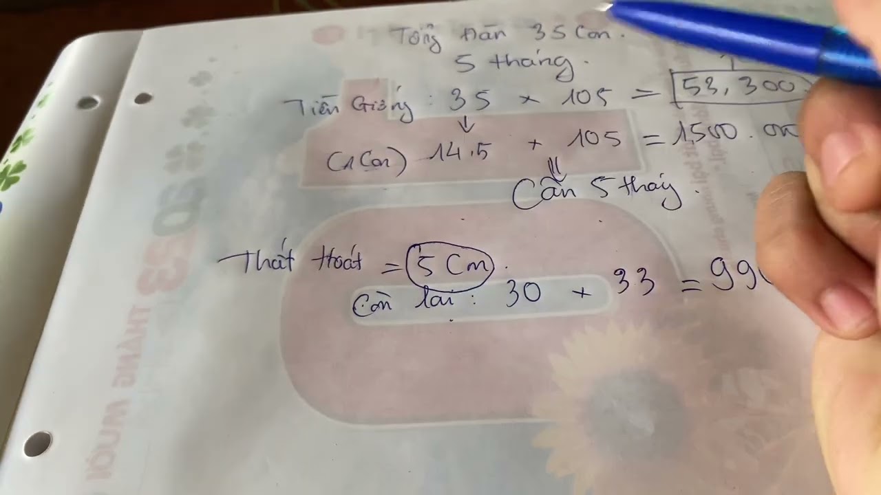 Tổng lợi nhuận và chi phí sau 5 tháng nuôi dê vỗ béo vào thời điểm này CÁI KẾT BUỒN