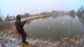 ОГО! Не думал, что в этом прудике ТАКИЕ водятся! Рыбалка уда