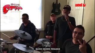 Video thumbnail of "Grupo Pegasso - La Dueña de mi Vida ENSAYO 2"