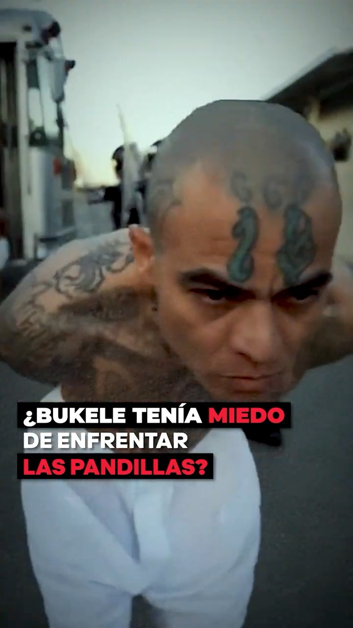 ¿Por qué Bukele tenía miedo de enfrentar a los pandilleros? @PaoCastilloOf