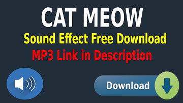 Cat Meowing Sound Effect Free Download MP3 | Royalty Free Music | Part 1