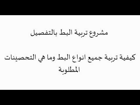 كافة أسرار الربح من تربية البط المسكوفي والانواع الاخري بالتفصيل 2022