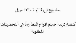 كافة أسرار الربح من تربية البط المسكوفي والانواع الاخري بالتفصيل 2022