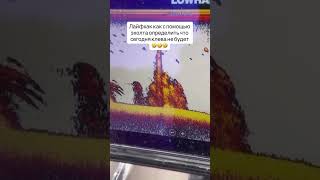 всё ясно и понятно! #fishing