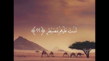 أفلا ينظرون إلى الإبل كيف خلقت سورة الغاشية عبدالرحمن مسعد
