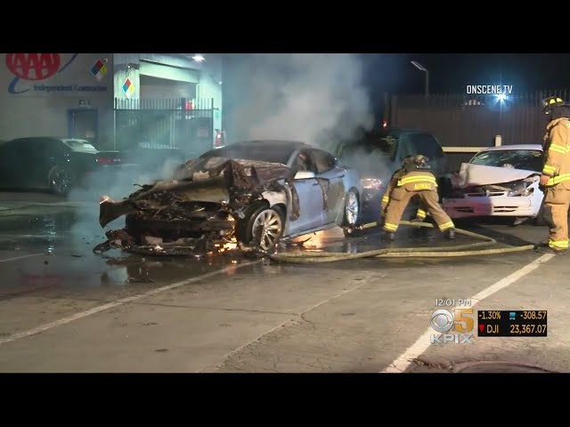 Tesla Lawsuit Blames Space Age Door Handles For Horrific Driver Death