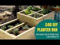 $40 Easy DIY Planter Box | 2 Tier Divided Garden Bed That An 8 Year Old Can Build!