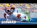 Бернард на Олимпийских играх и многое другое | Мультфильмы про медвежонка Бернарда для детей | Полна