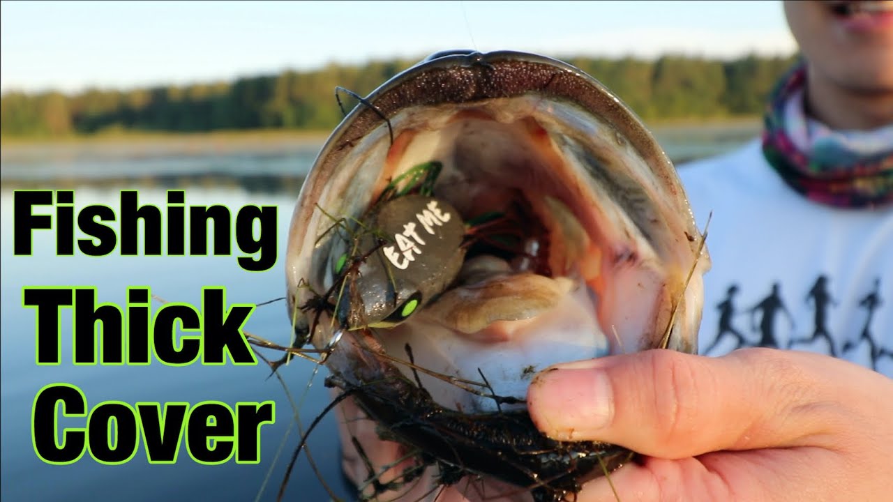Summer Bass Fishing HEAVY Cover! YouTube