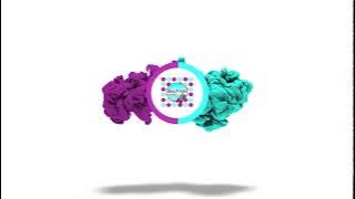 The Balut Kiki Project