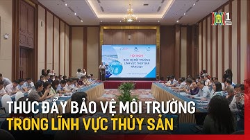 Thúc đẩy bảo vệ môi trường trong lĩnh vực thủy sản | Tin tức