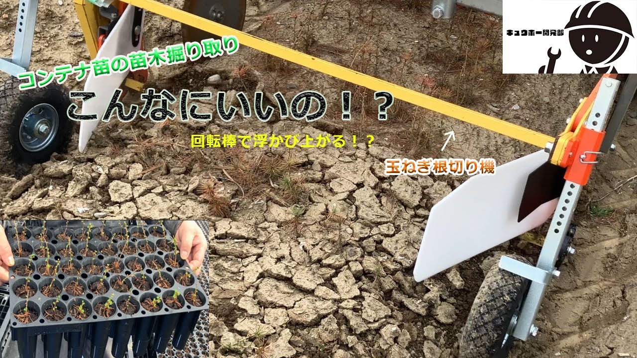 コンテナ苗の収穫と植付の機器紹介