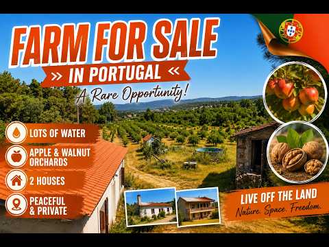 Portuguese Homestead for Sale | Apple & Walnut Orchards + 2 Homes