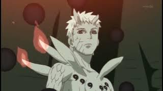 Eps 381 | Pohon Dewa - Naruto Shippuden FULL HD