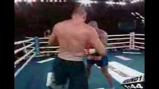 Glaube Feitosa vs Gary Goodridge k1