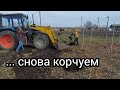 Реконструкция участка. Теплицы и новая культура