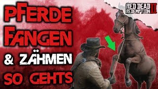 Pferde fangen & zähm Guide - Red Dead Redemption 2 Deutsch Wildpferde Tipps & Tricks screenshot 2