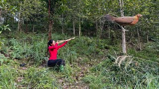 Make a bamboo hunting bow and hunt, cook, and survive alone in the forest