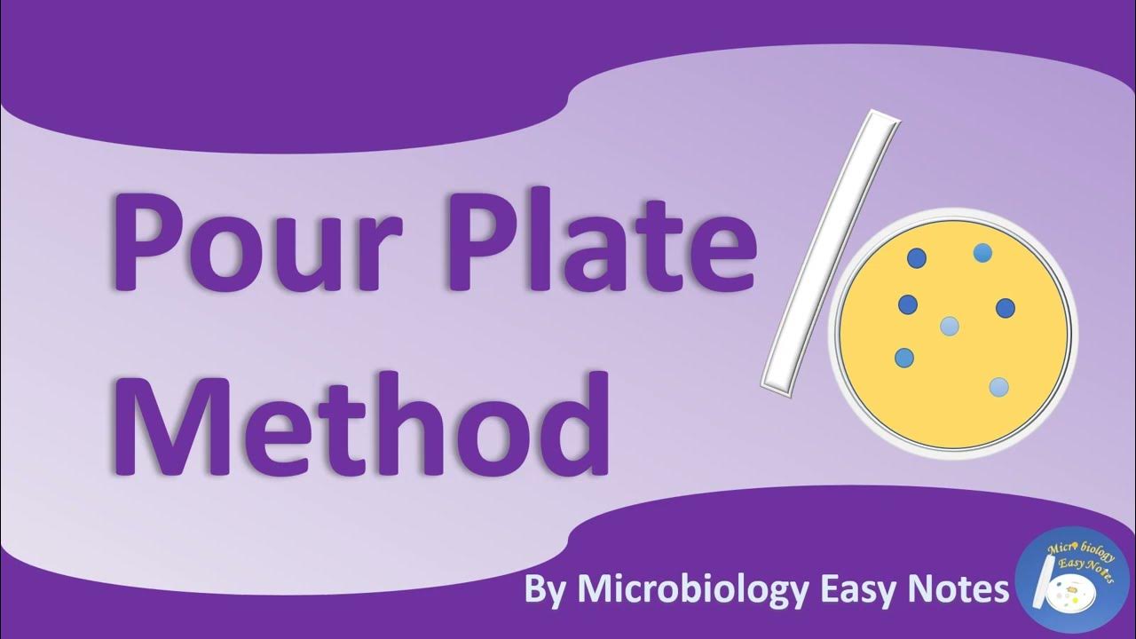 pour plate method YouTube