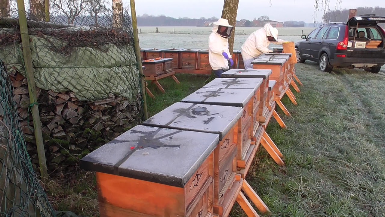 Bienenverdampfer Oxalsäure Varroa-Milbenbehandlungsverdampfer Bienenzuchtwerkzeuge Imkerbedarf
