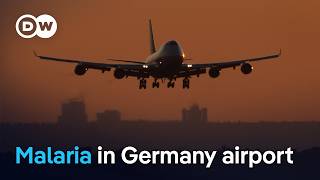 Several people die from rare “airport malaria” cases around Frankfurt Airport | DW News