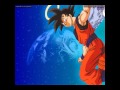 Cover- DBZ