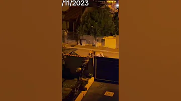 اسد يفتر بمنطقتنة 